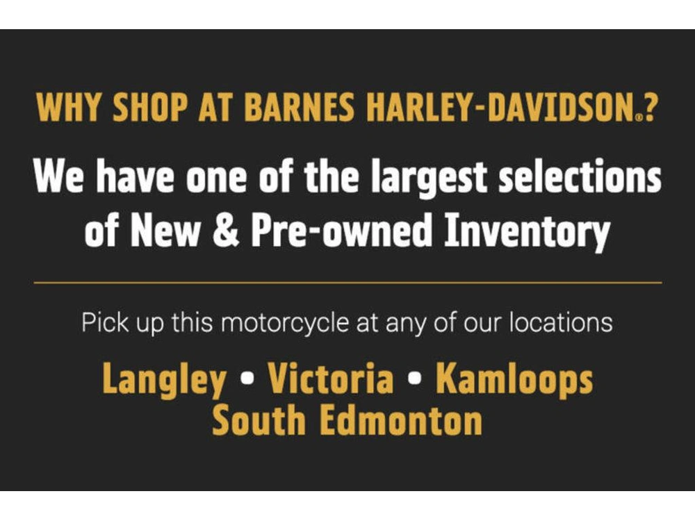 2020 Harley-davidson Elw - Livewire™ alt