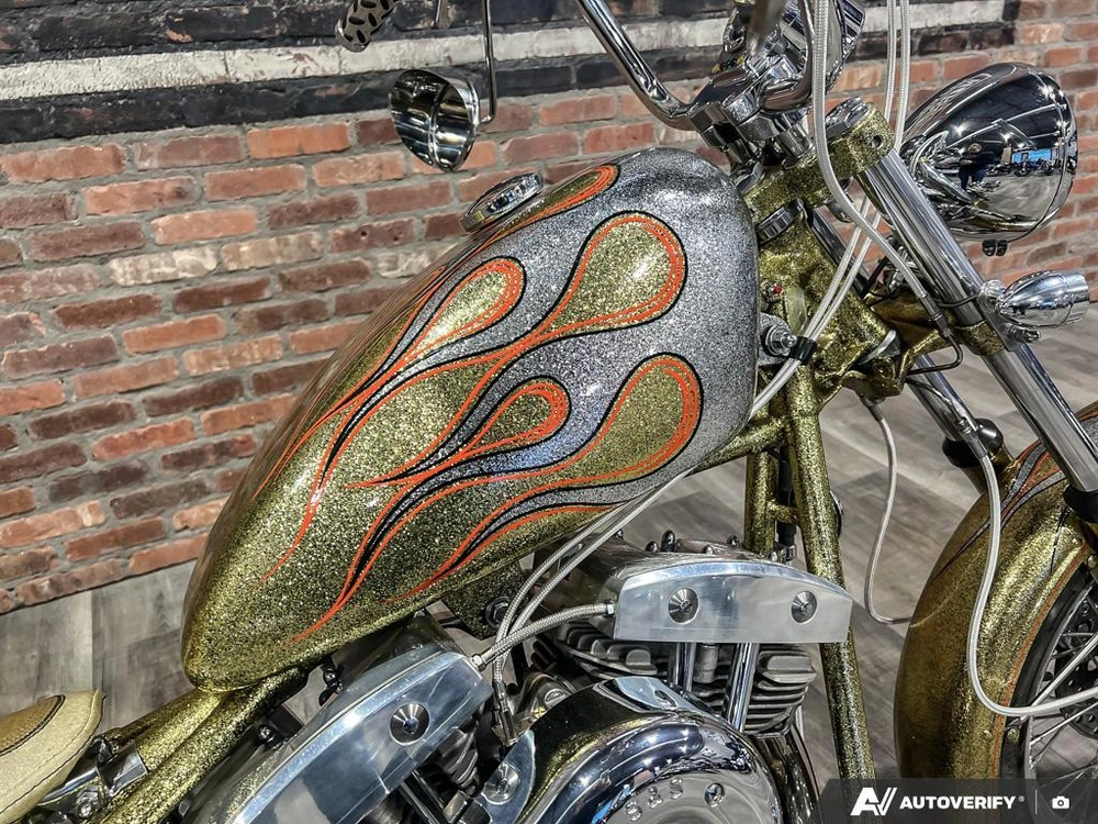 1975 Harley-davidson Fl-custom alt