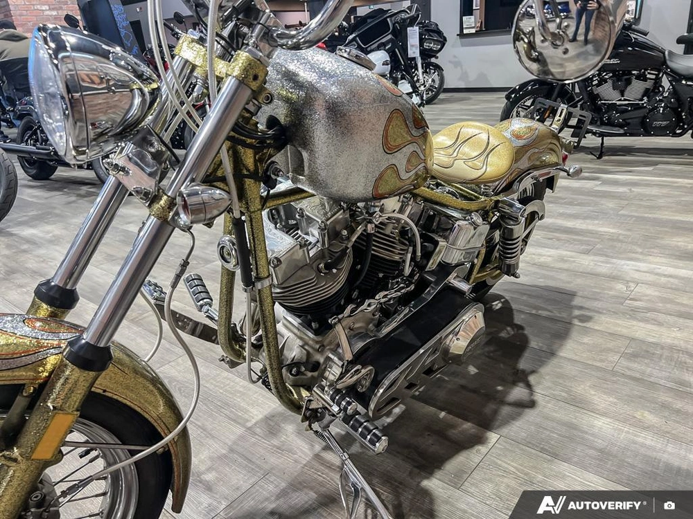 1975 Harley-davidson Fl-custom alt