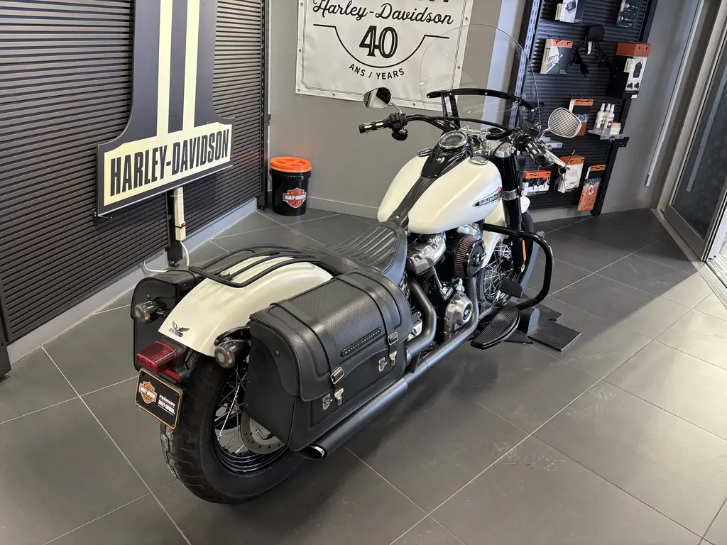 2019 Harley-Davidson FLSL Softail SlimFLSL