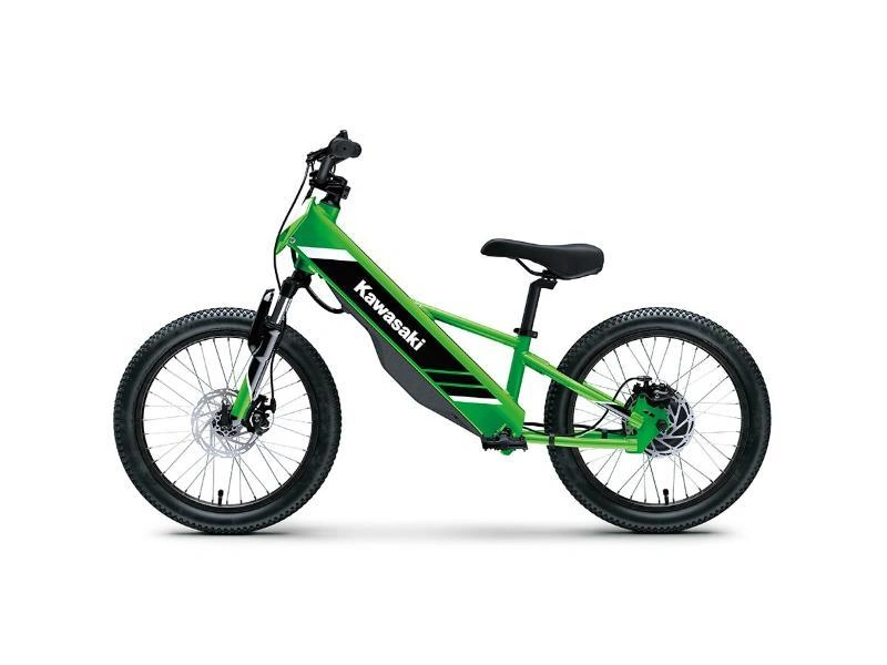 2025 Kawasaki Elektrode 20 alt