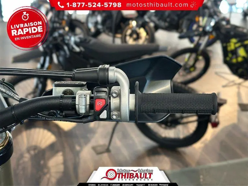 2026 Triumph TF250-E