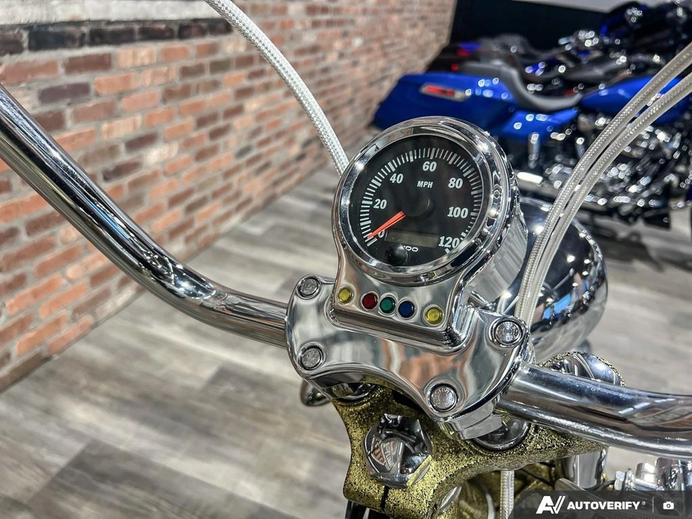 1975 Harley-davidson Fl-custom alt