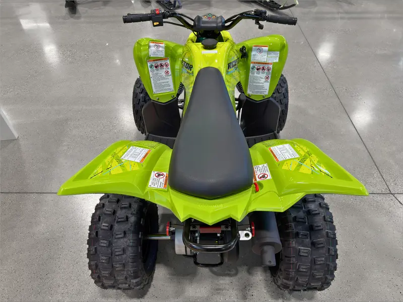 2026 Yamaha Raptor 110