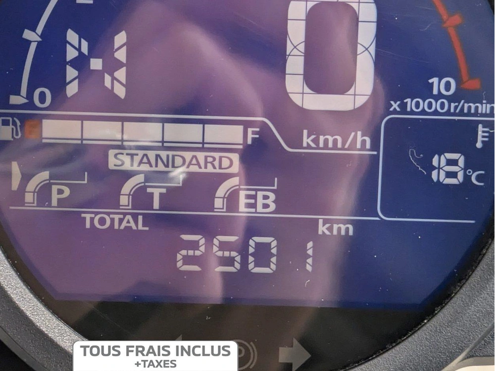 Honda Rebel 1100 Dct 2024 alt