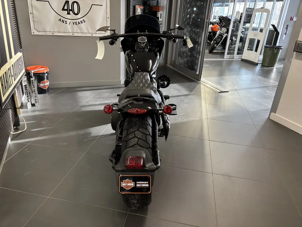 2018 Harley-Davidson FAT BOB 114FXFBS