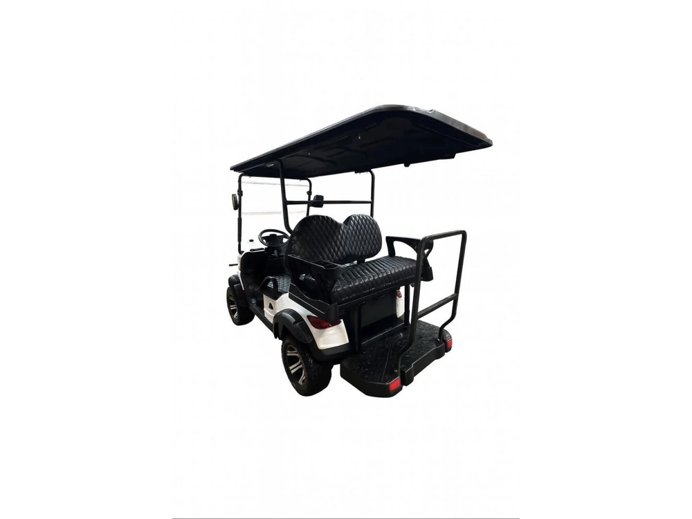 2025 I-go Rc Golf Cart Rc 4.0 alt