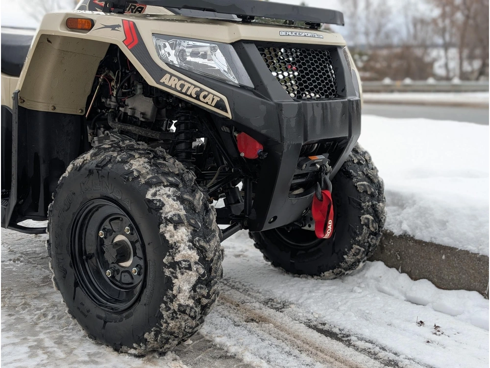 Arctic Cat Alterra 300 | 🌍 Concurrents : Trx250 / Kodiak / Cforce 400 🌍 | 2022 alt