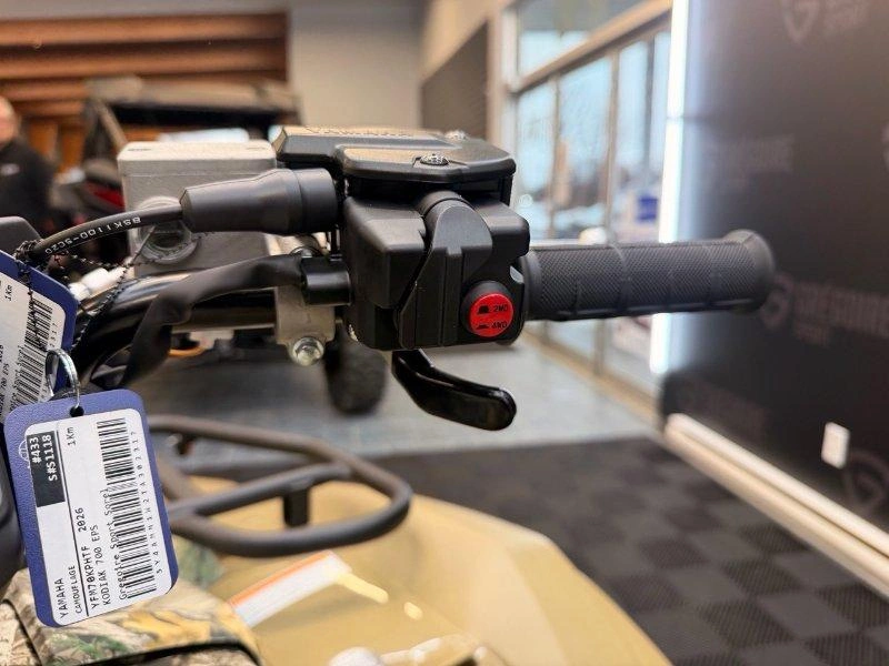 Yamaha Kodiak 700 Dae Camo 2026 alt