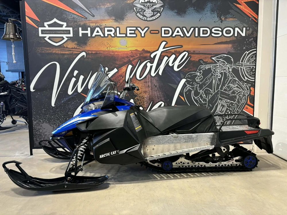 Arctic Cat Bearcat 3000 Lt 2017 alt