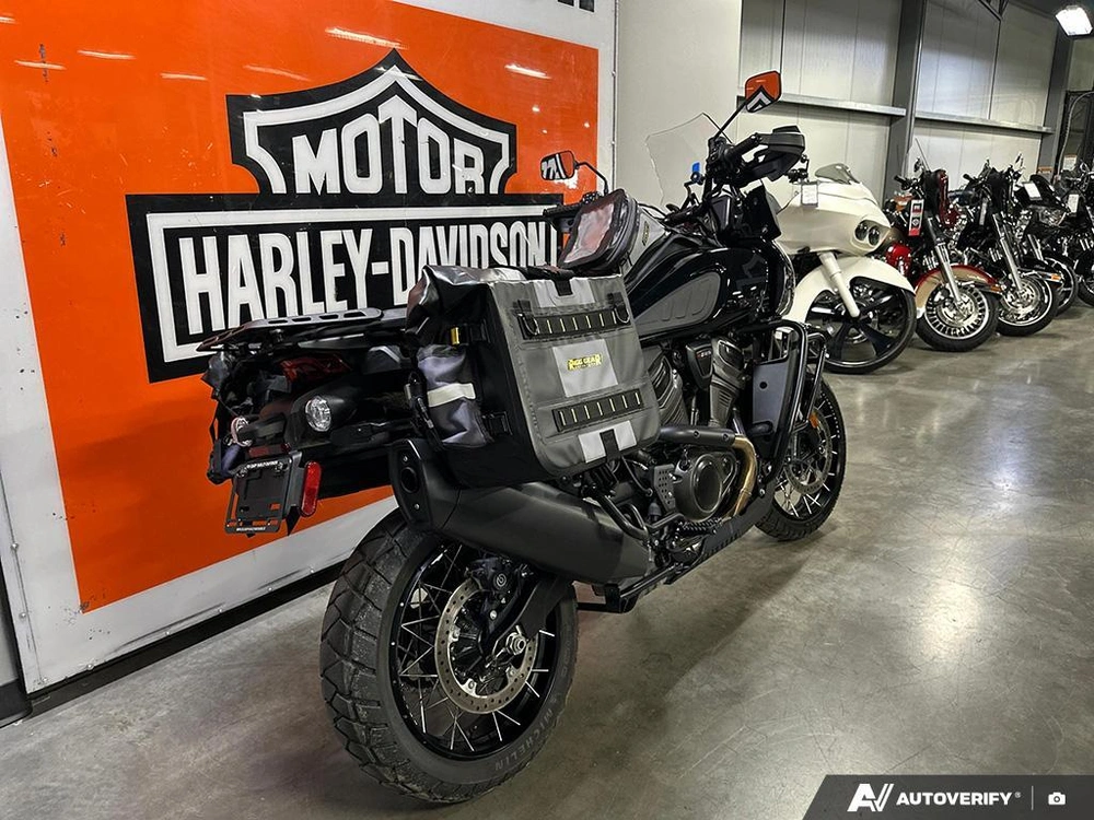 2023 Harley-davidson Pan America Special alt