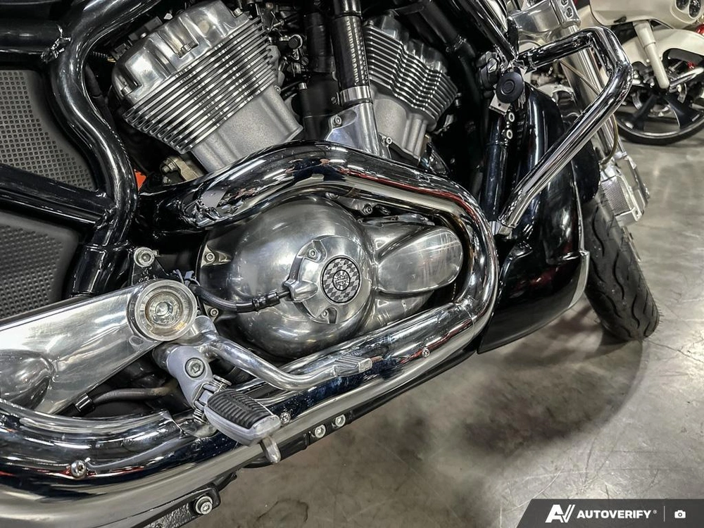 2006 Harley-davidson Vrscr alt