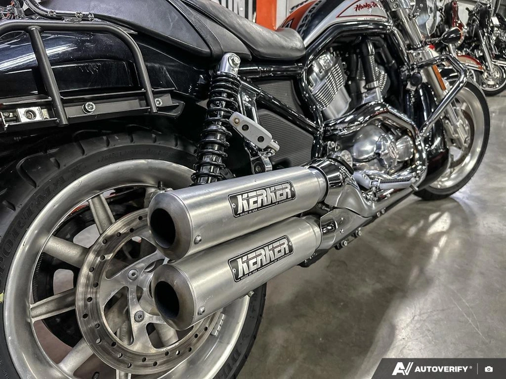 2006 Harley-davidson Vrscr alt