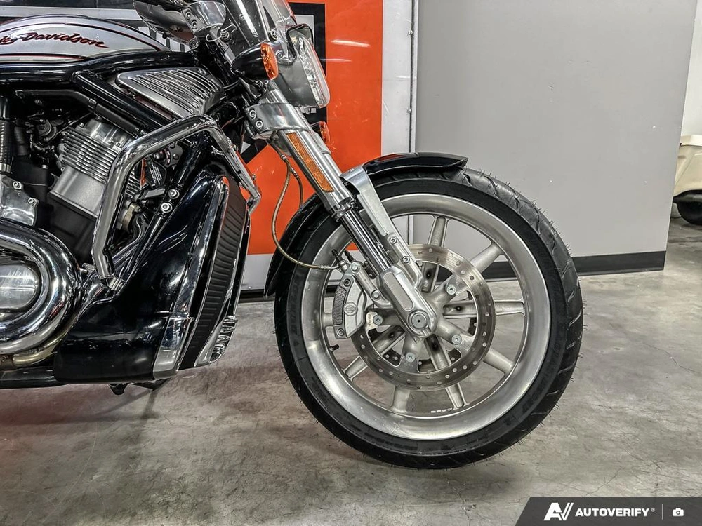 2006 Harley-davidson Vrscr alt