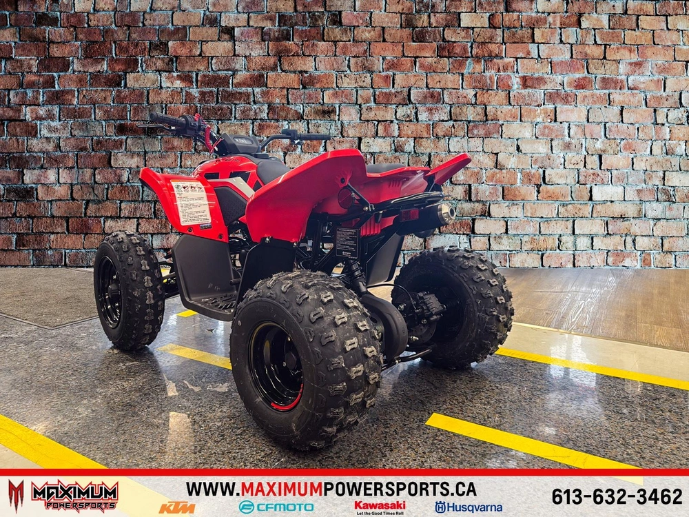 Cfmoto Cforce 110 Classic 2026 alt