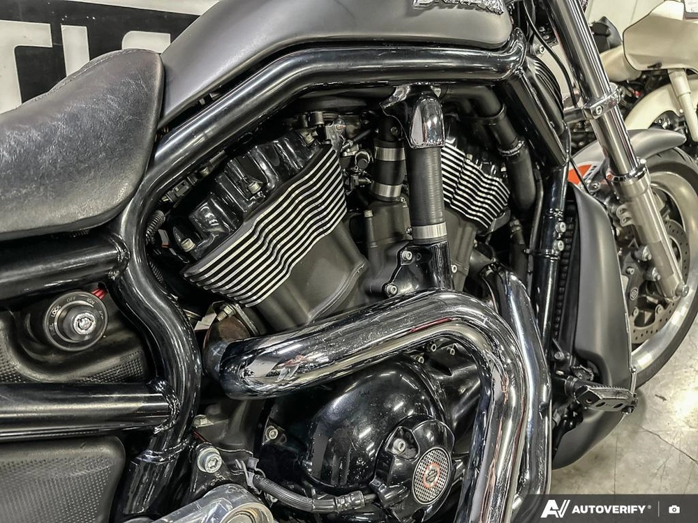 2006 Harley-davidson Nightrod alt