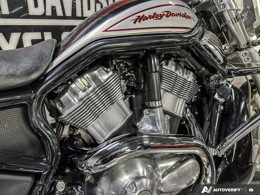 2006 Harley-davidson Vrscr alt