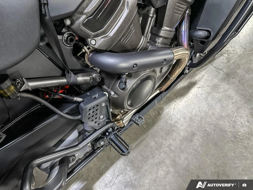 2023 Harley-davidson Pan America Special alt