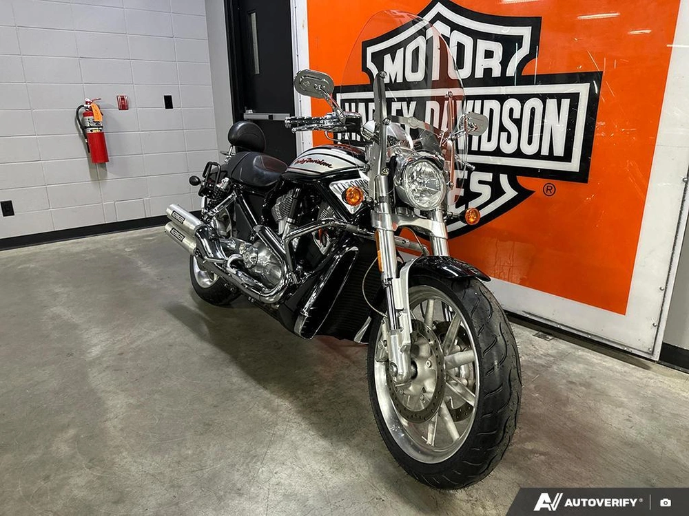 2006 Harley-davidson Vrscr alt
