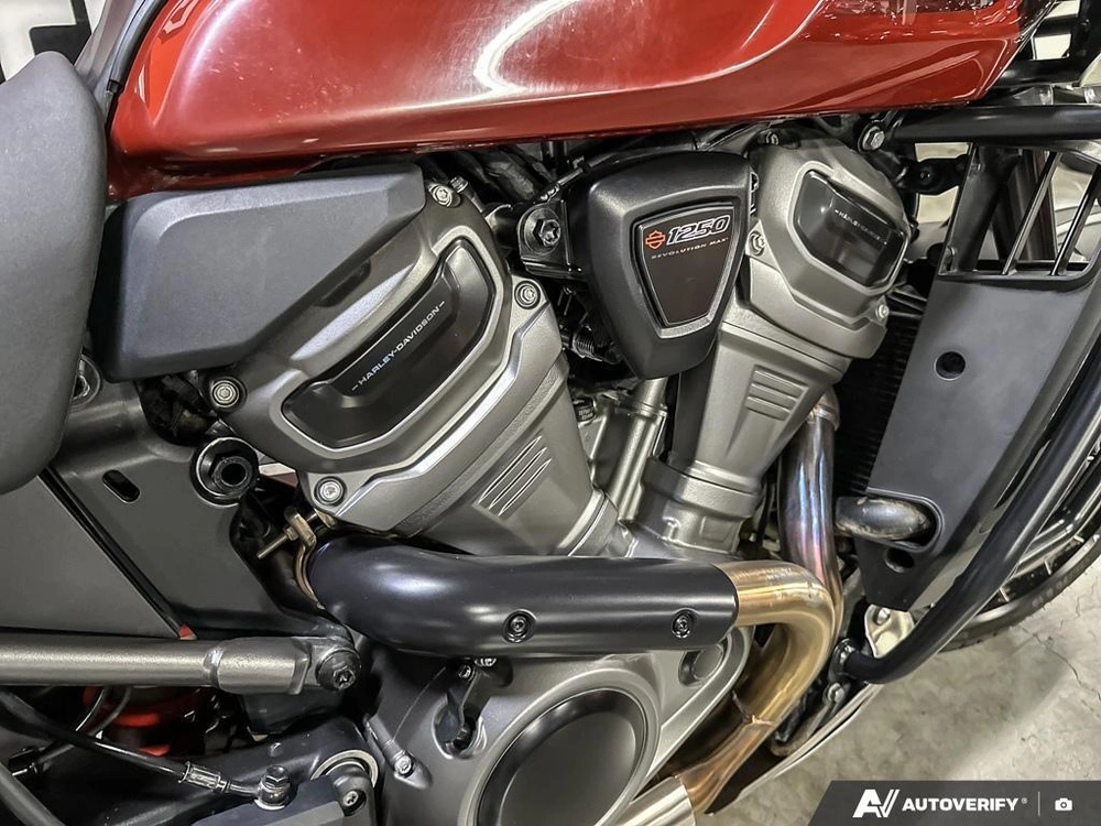 2024 Harley-davidson Pan America Special alt