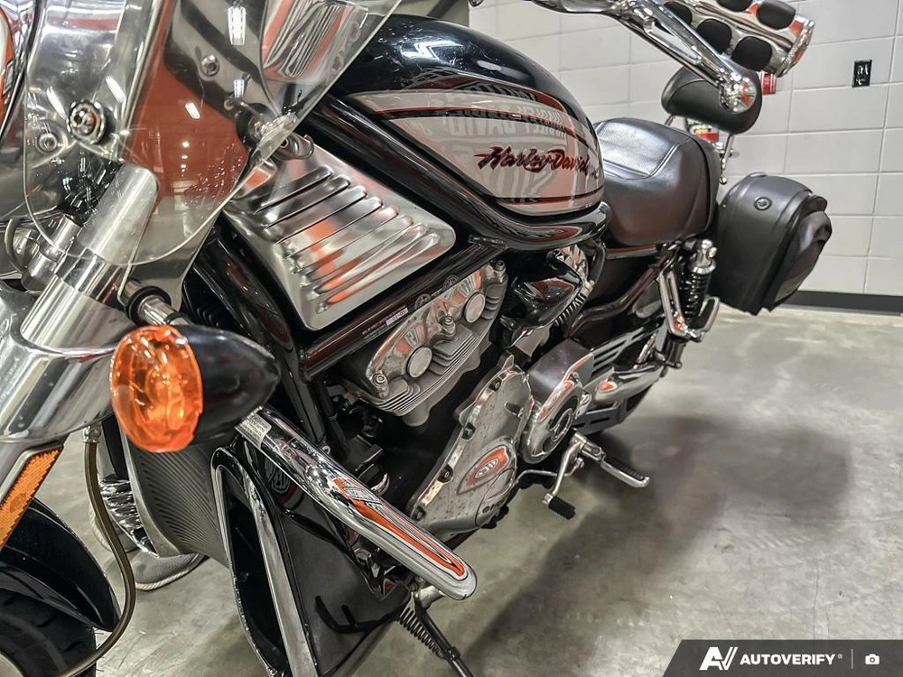 2006 Harley-davidson Vrscr alt