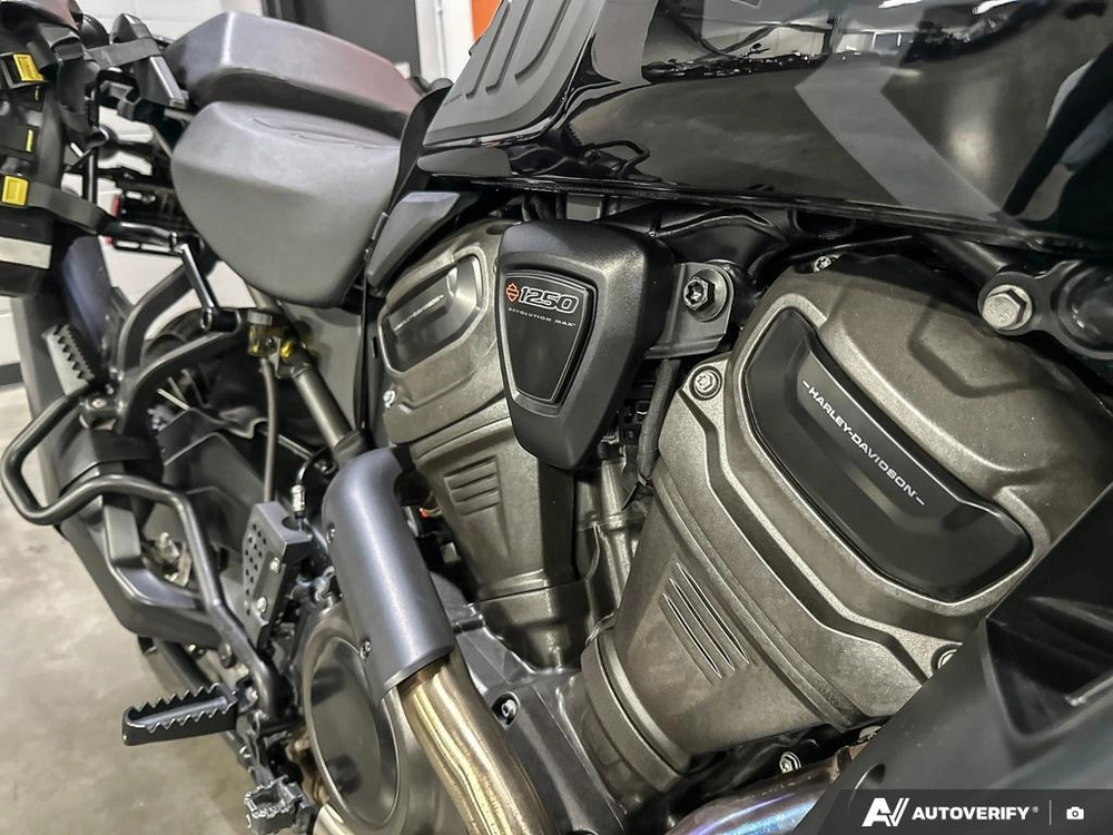 2023 Harley-davidson Pan America Special alt