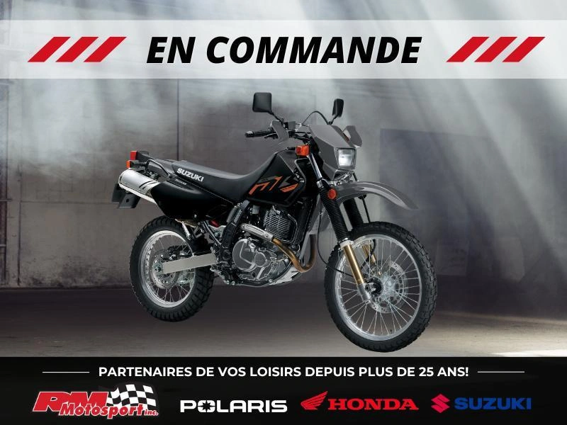 2026 Suzuki Dr650se alt