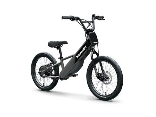 2025 Kawasaki Electrode 20FS 
