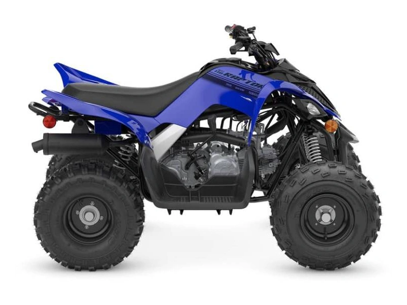 2025 Yamaha Raptor 110 alt