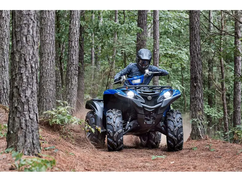 2025 Yamaha Grizzly EPS SE