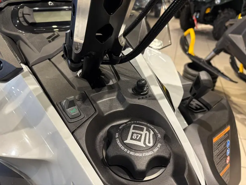 2025 Ski-Doo SKANDIC LE 20'' 900 ACE Silent Cobra 1.5'' E.S.
