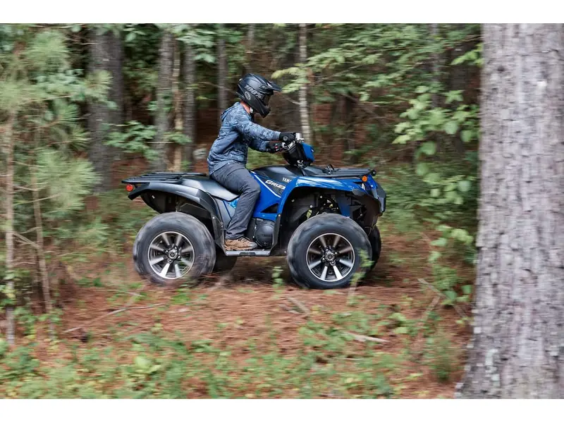 2025 Yamaha Grizzly EPS SE