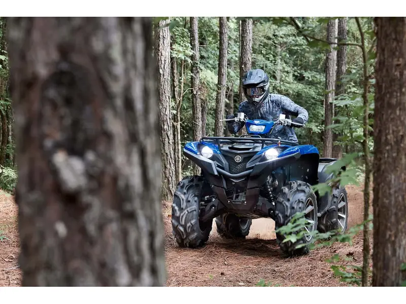 2025 Yamaha Grizzly EPS SE