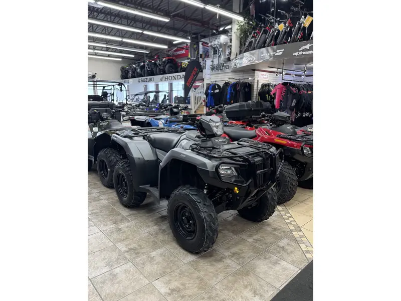 2025 Honda TRX 520 RUBICON FM6