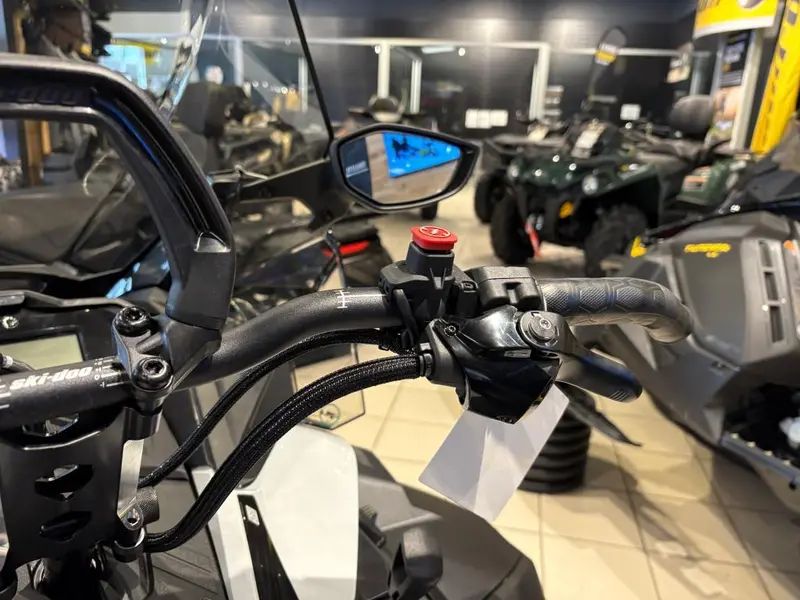 2025 Ski-Doo SKANDIC LE 20'' 900 ACE Silent Cobra 1.5'' E.S.