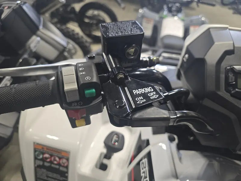 2025 Kawasaki KVF450ASFNN
