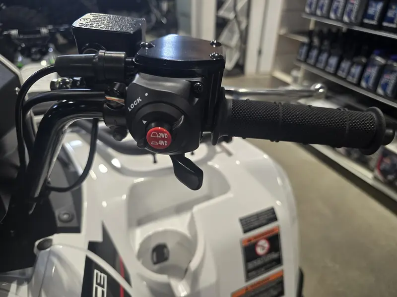 2025 Kawasaki KVF450ASFNN