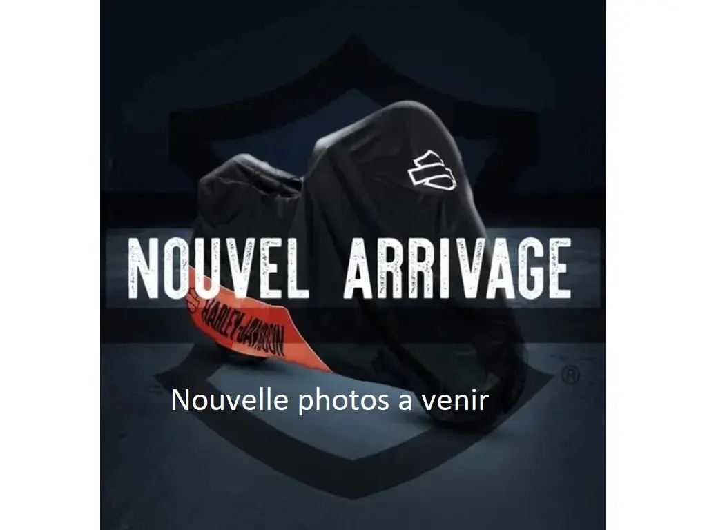 Harley-Davidson Pan America SpecialRA1250S 2021