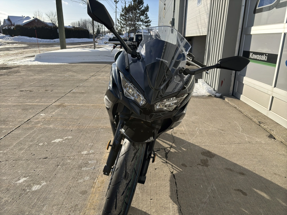 2025 Kawasaki Ninja 650 Abs alt