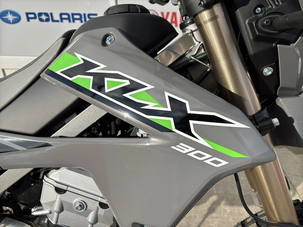 Kawasaki Klx300 2025 alt