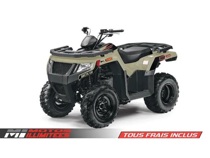 2024 Arctic Cat Alterra 300 