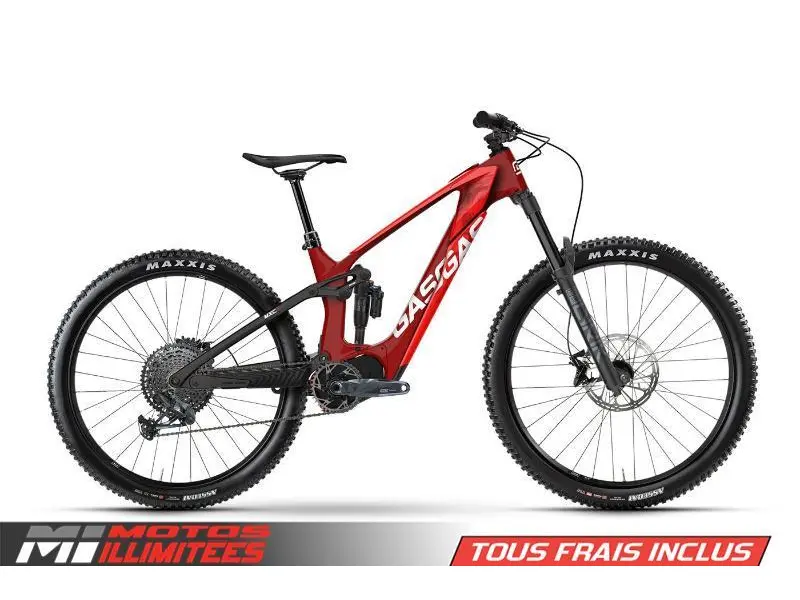 2024 Gas Gas MXC 4 