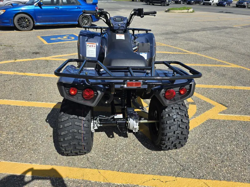 2025 Kawasaki KVF300CSFNN Brute Force 300