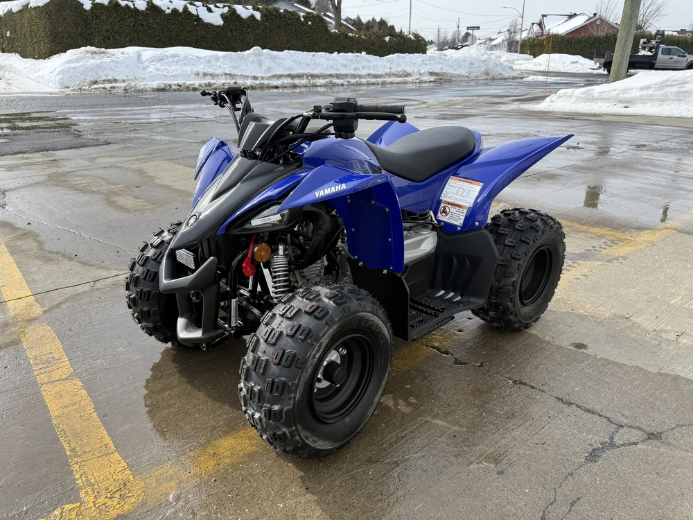 2025 Yamaha Yfz50 alt