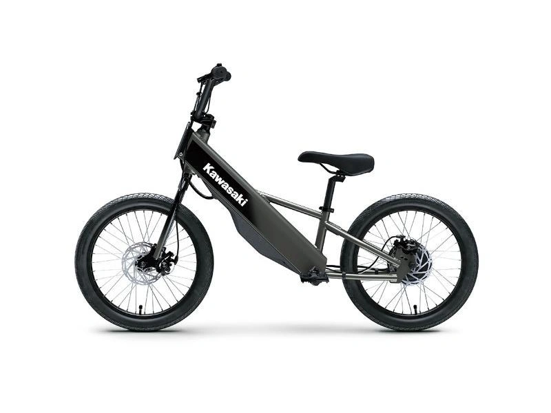 Kawasaki Elektrode 20fs 2025 alt