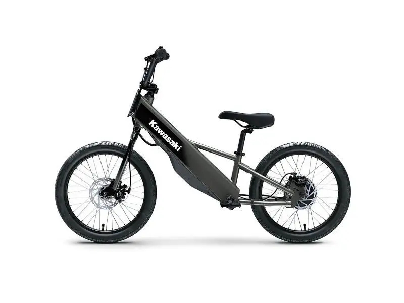 2025 Kawasaki Elektrode 20FS