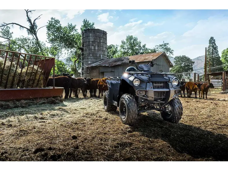 2025 Kawasaki BRUTE FORCE 300