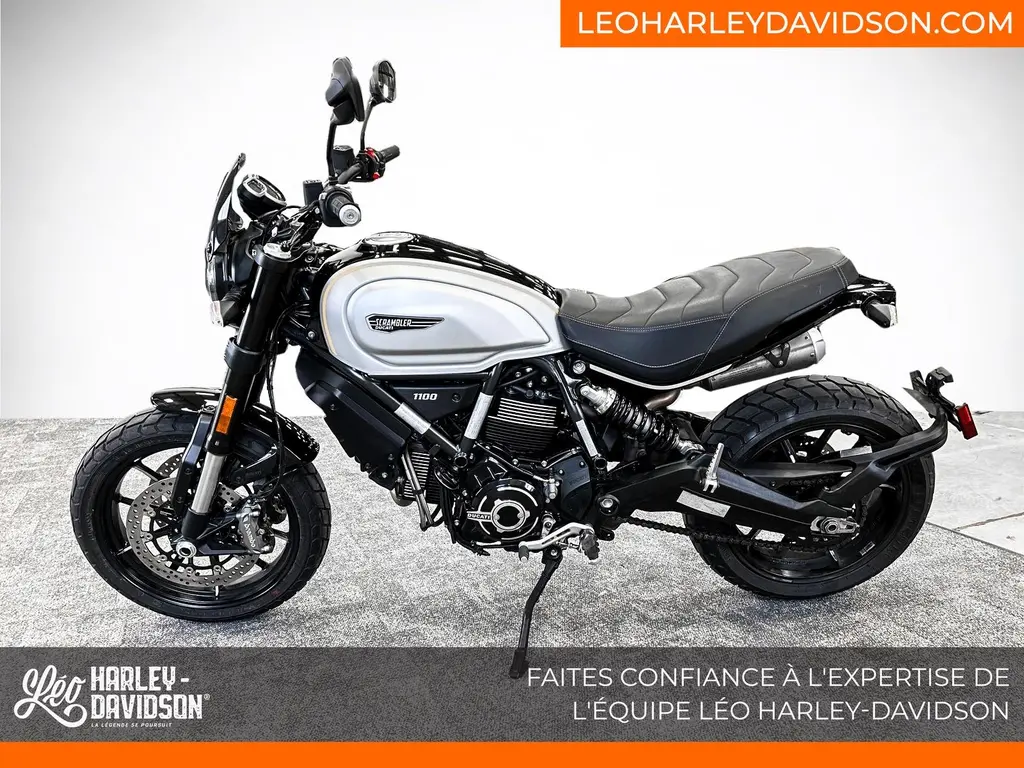 Used 2021 Ducati Scrambler 1100 Pro in Brossard Léo Harley-Davidson®