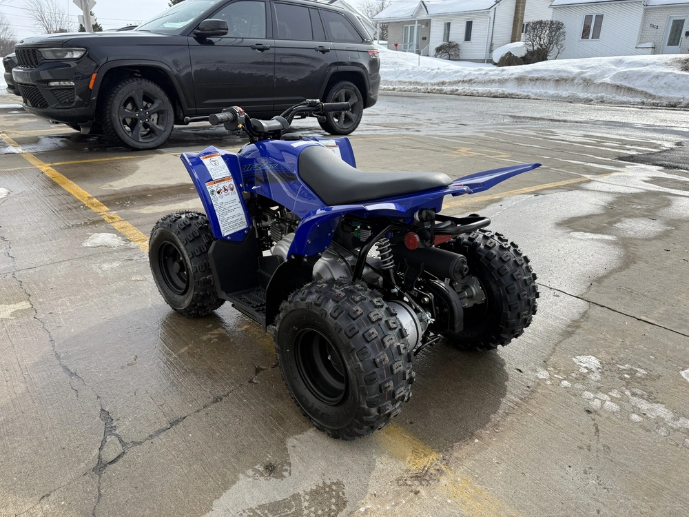 2025 Yamaha Yfz50 alt