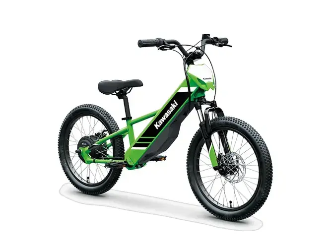 2025 Kawasaki ELEkTRODE 20 po